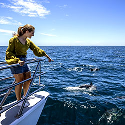 https://nztour.co.nz/wp-content/uploads/auckland-hauraki-gulf-whale-watching.jpg