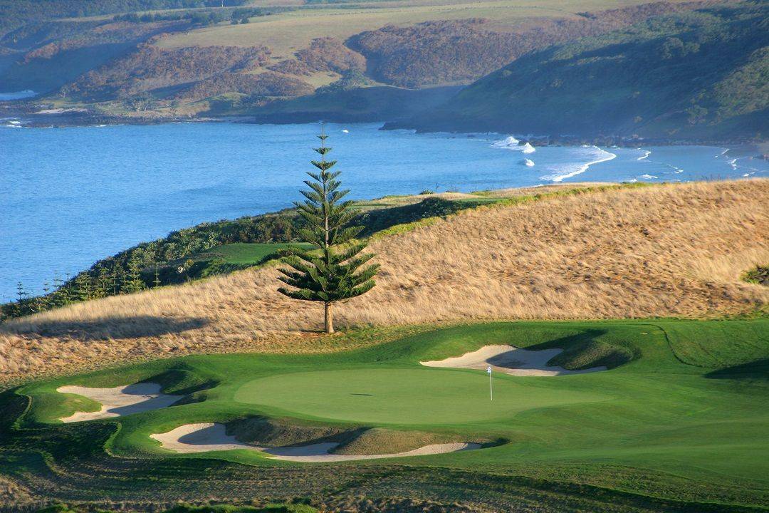 golf-kauri-cliffs-hole-17-with-norfolk-pine